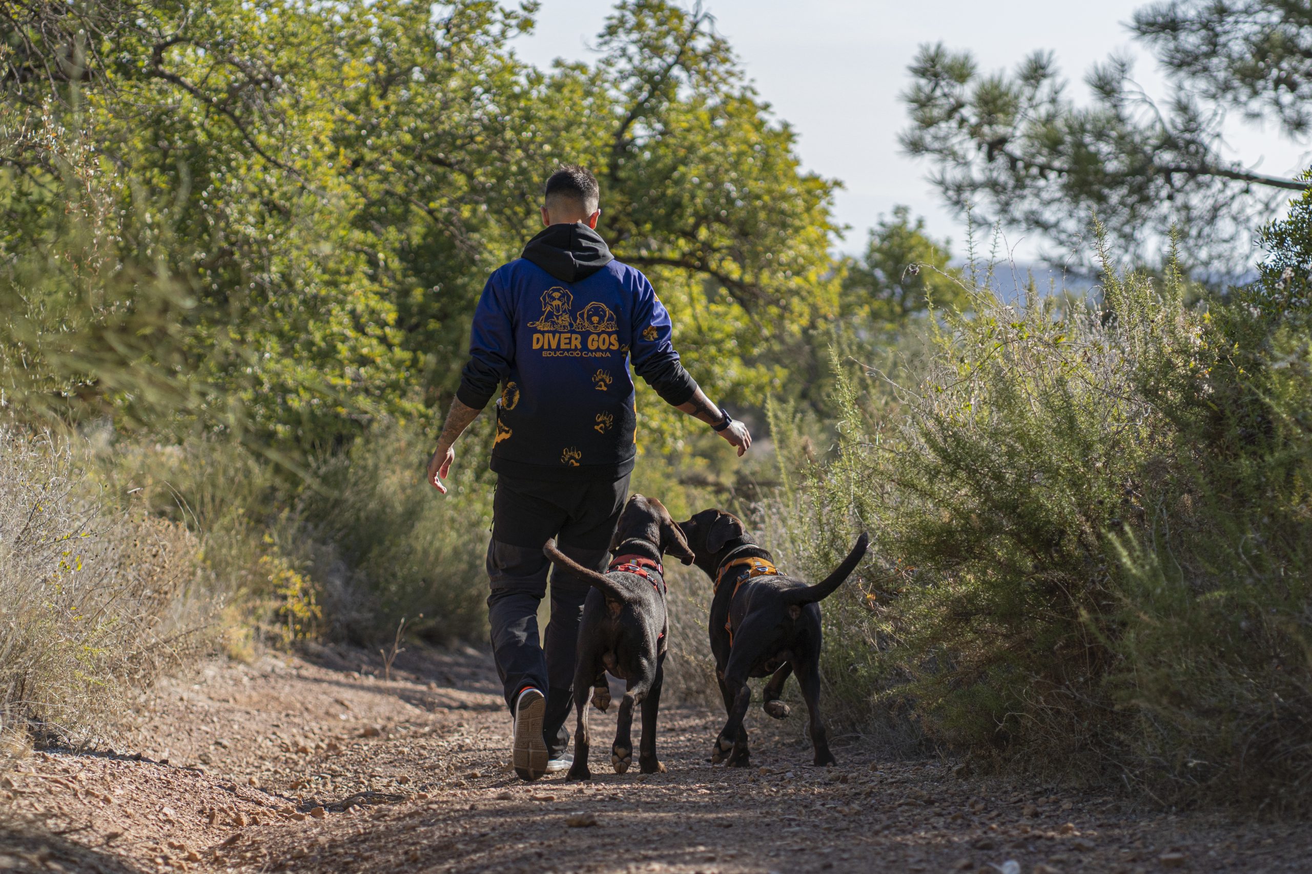 Dogs Gps