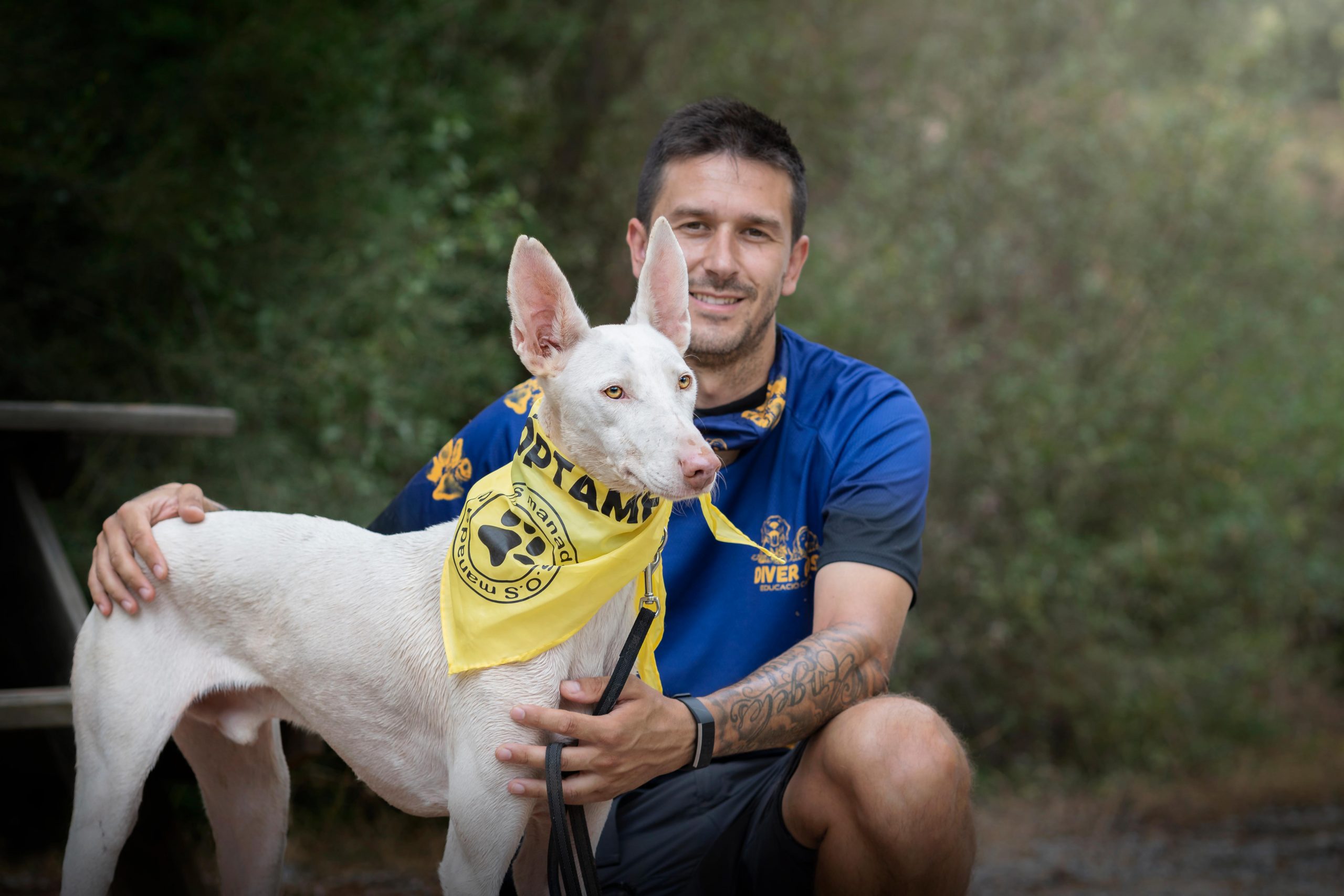 Pensando en aumentar la familia con tu perro