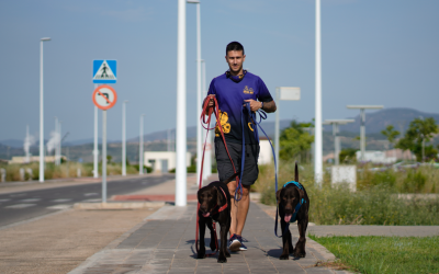 ¿Quién se porta mal en el paseo, el perro o el humano?