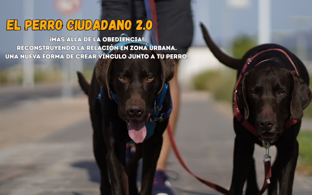 Curso de Fin de semana El Perro Ciudadano 2.0